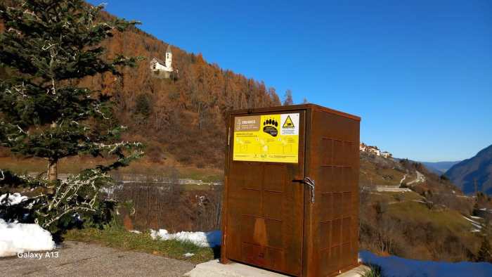 ATTUALITÀ - Rifiuti e grandi carnivori, il Trentino rafforza la prevenzione