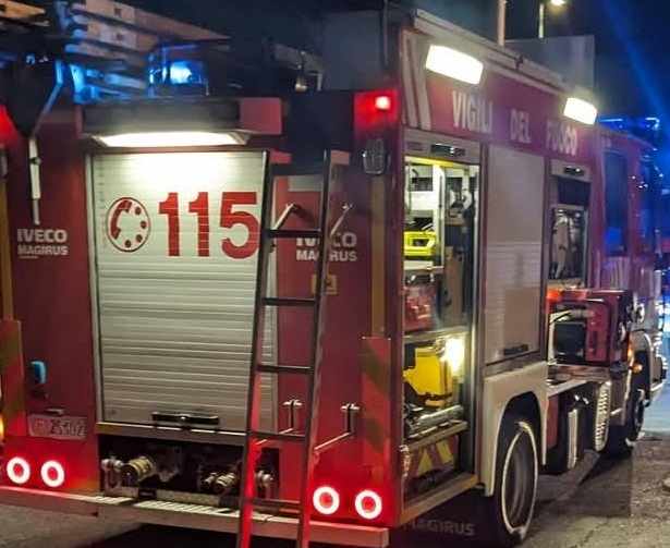 TRENTINO - Incidente sulla statale del Brennero, morto un cervo