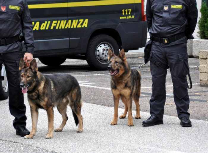 CRONACA - Traffico di droga e riciclaggio: arresti della Finanza a Trento