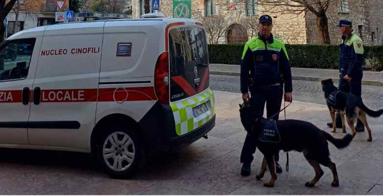 ATTUALITÀ - Trento, malamovida: prima serata degli street tutor