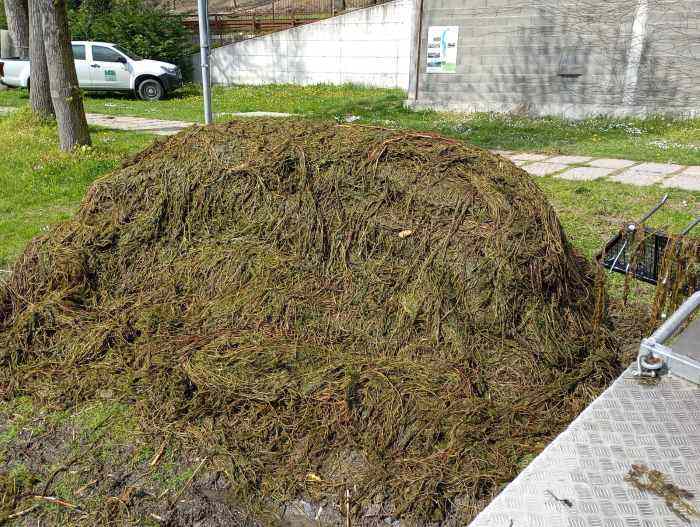 ATTUALITÀ - Contrasto alle alghe infestanti, interventi sul lago d'Endine