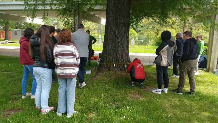 VALLE CAMONICA - Edolo, studente del Meneghini alla gara nazionale di Silvicoltura
