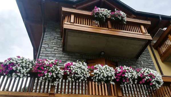 ATTUALITÀ - Chiavenna in fiore: torna la manifestazione di primavera