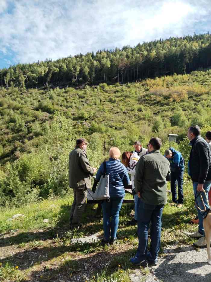 ATTUALITÀ - Valle Camonica: lotta al bostrico, nuove trappole e monitoraggio