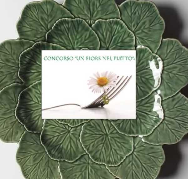 SEBINO - Un fiore nel piatto: le ricette vincitrici del concorso 2025