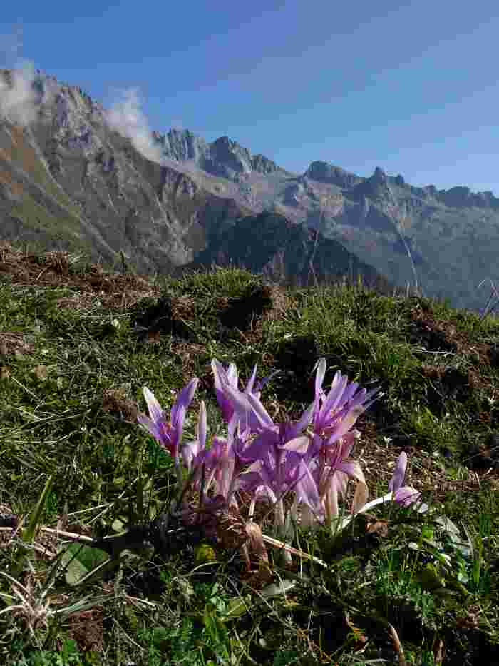 VALLE CAMONICA - A Breno la presentazione del libro di Enzo Bona