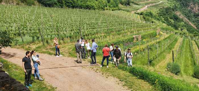 ATTUALITÀ - Gemme di gusto, gli eventi del fine settimana in Trentino