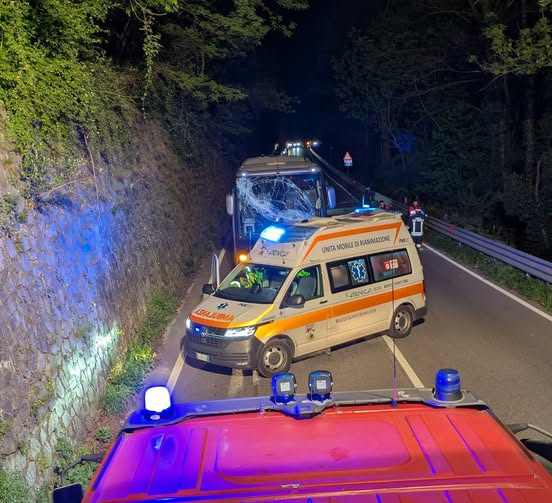 VALLE CAMONICA - Ramo cade su un bus in transito sulla statale 42 a Berzo Demo