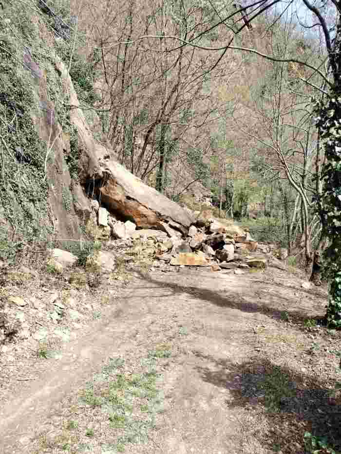 ATTUALITÀ - Dopo la frana, messa in sicurezza di una strada a Lavis