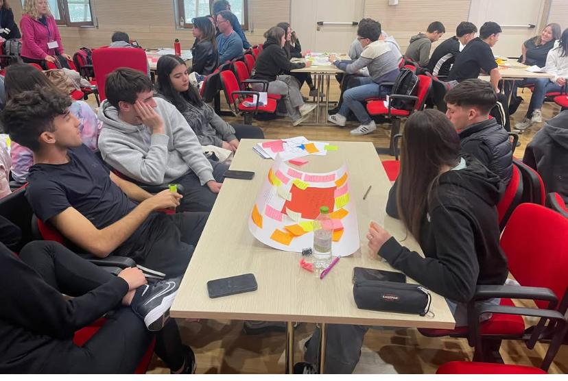 VALLE CAMONICA - Aree interne, il lavoro degli studenti del Meneghini di Edolo