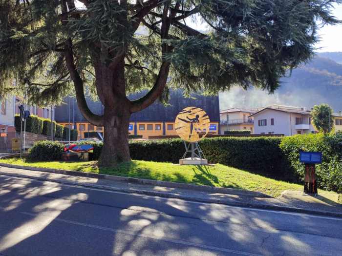 VALLE CAMONICA - Bonsai del Karateka: Pian Camuno celebra il legame con il karate