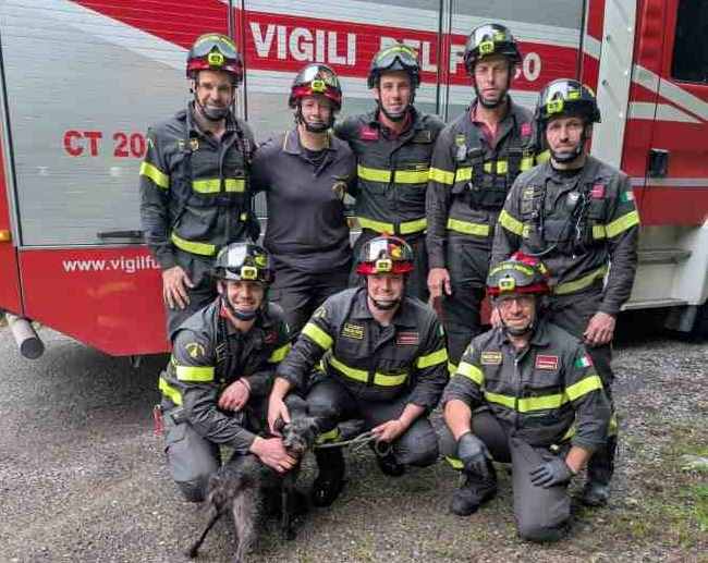 VALLE CAMONICA - I vigili del fuoco recuperano cane meticcio a Monno