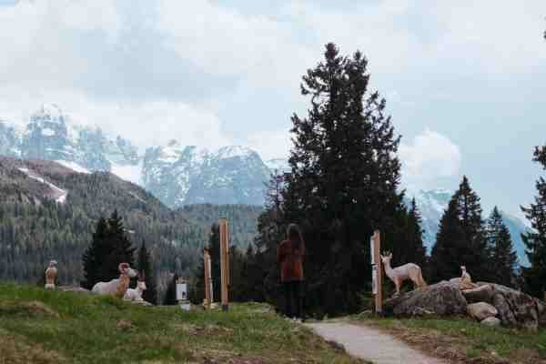 EVENTO - Junior Park a Madonna di Campiglio: un viaggio nella natura