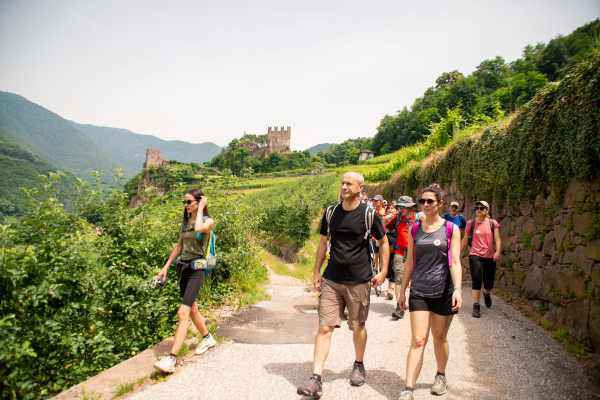 EVENTO - La Valle di Cembra brinda al Müller Thurgau dal 4 al 6 luglio