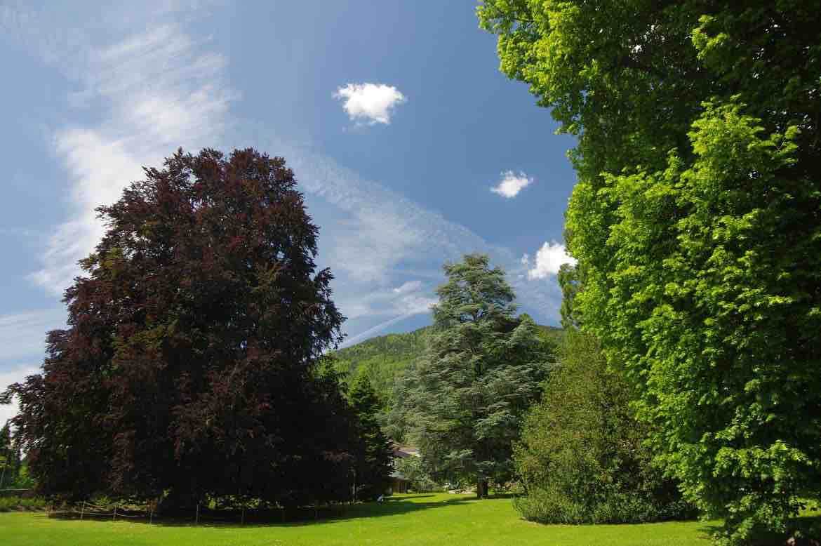 TRENTINO - Vivere il Parco 2025: un’estate di animazione nel parco delle terme di Levico