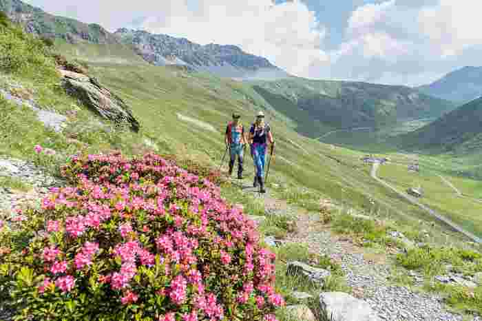 VALTELLINA - Bormio: le gite nel bicentenario della strada dello Stelvio