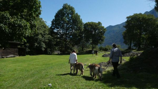 DARFO BOARIO - Record di presenze al Parco archeologico di Luine