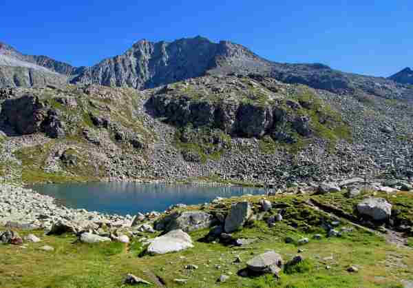 ATTUALITÀ - Parco dell'Adamello: iniziative per scoprire le bellezze naturali