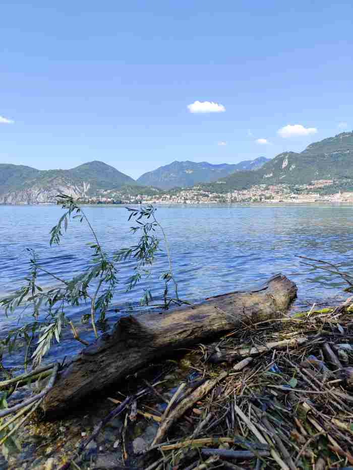 ATTUALITÀ - Progetto di dragaggio della foce del fiume Oglio a Costa Volpino