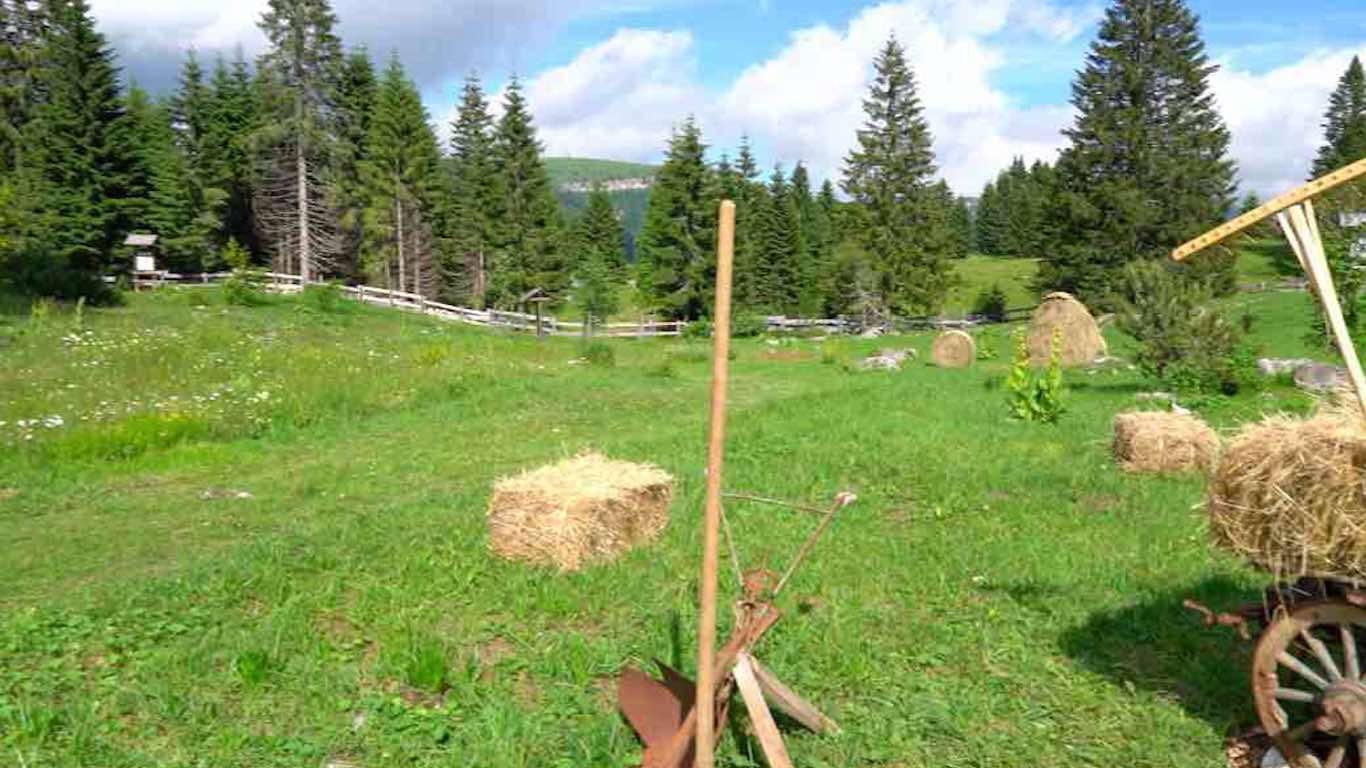 EVENTO - Alpe Cimbra, doppia iniziativa al Giardino Botanico di Passo Coe