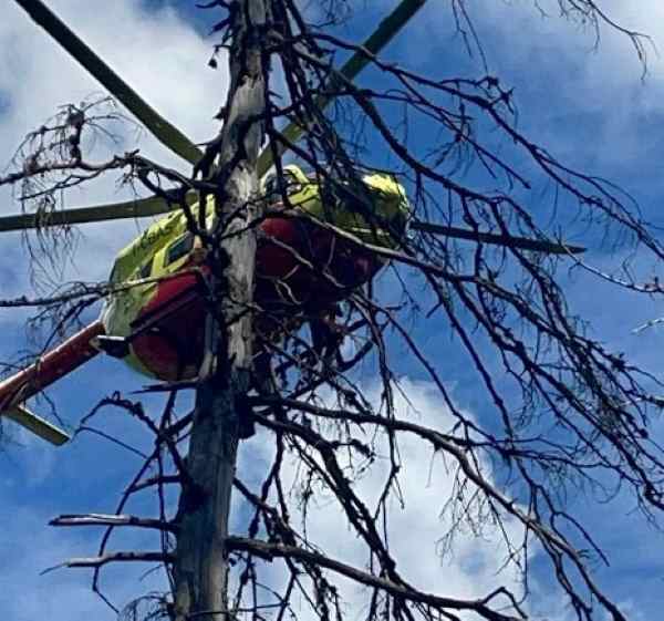 TONALE - Boscaiolo travolto da un albero a Vermiglio