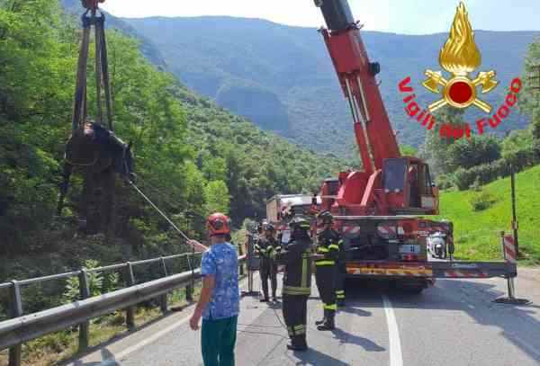 CRONACA - Recuperato cavallo caduto in un torrente del Bresciano