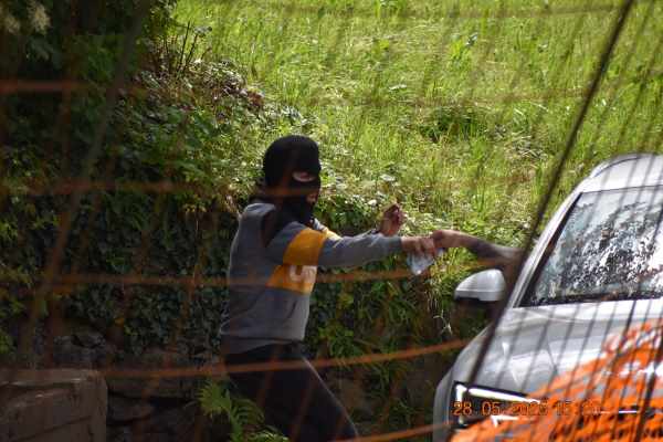 SONDRIO - Spaccio nei boschi della Valtellina, arrestato 23enne