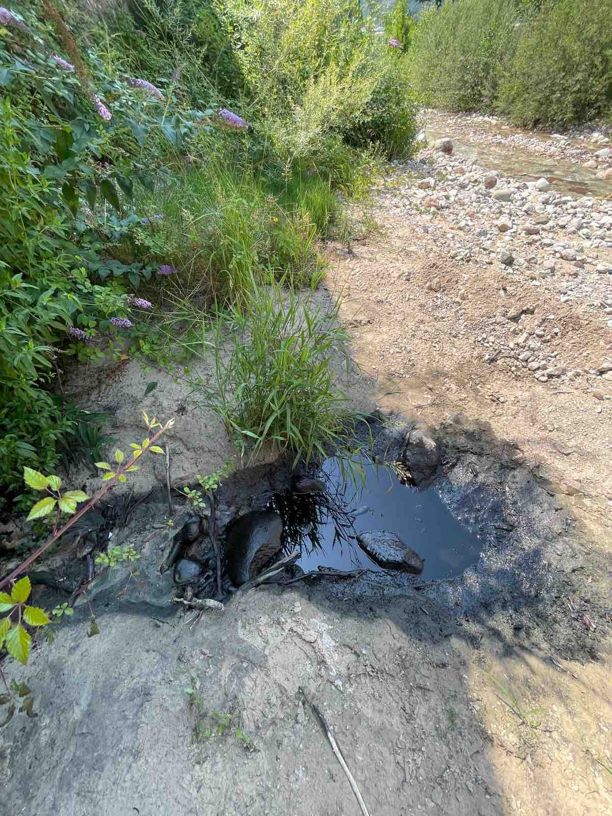 TRENTINO - Inquinamento nel torrente Ala: area contaminata arginata, indagini in corso