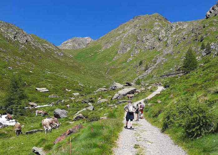 VALLE CAMONICA - Stop alle auto in Val Grande, area sosta in Val Paghera