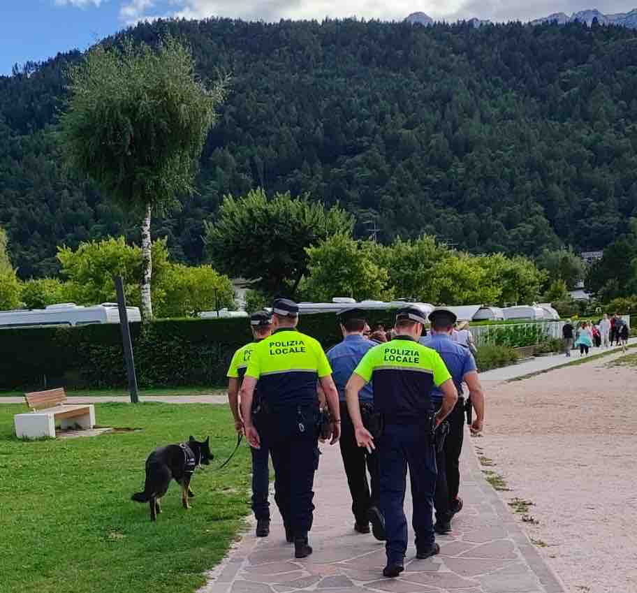 CRONACA - Alta Valsugana, il bilancio dei controlli congiunti Carabinieri-Polizia Locale