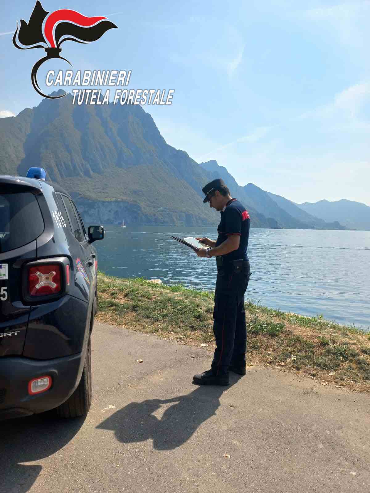 CRONACA - Carabinieri Forestali, dal Sebino a Bergamo: vandalismi e sanzioni
