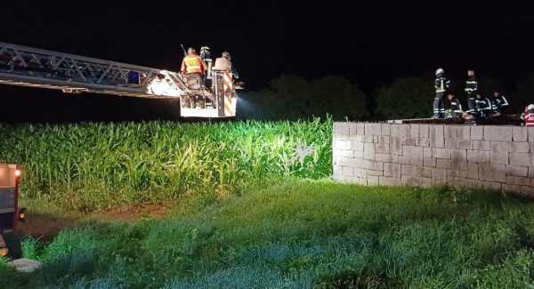 TRENTINO - Orsa investita sulla Statale 239, trasportata al Casteller