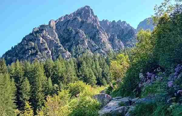 ATTUALITÀ - Il ridimensionamento del Parco dell'Adamello nel Question Time del Consiglio regionale
