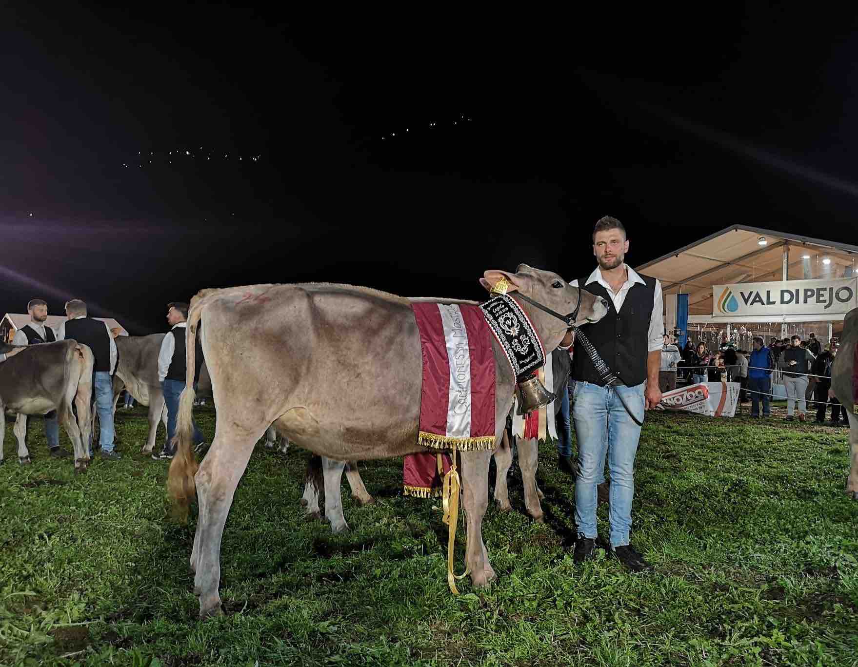 ATTUALITÀ - Val di Peio: grande pubblico per la festa dell'agricoltura