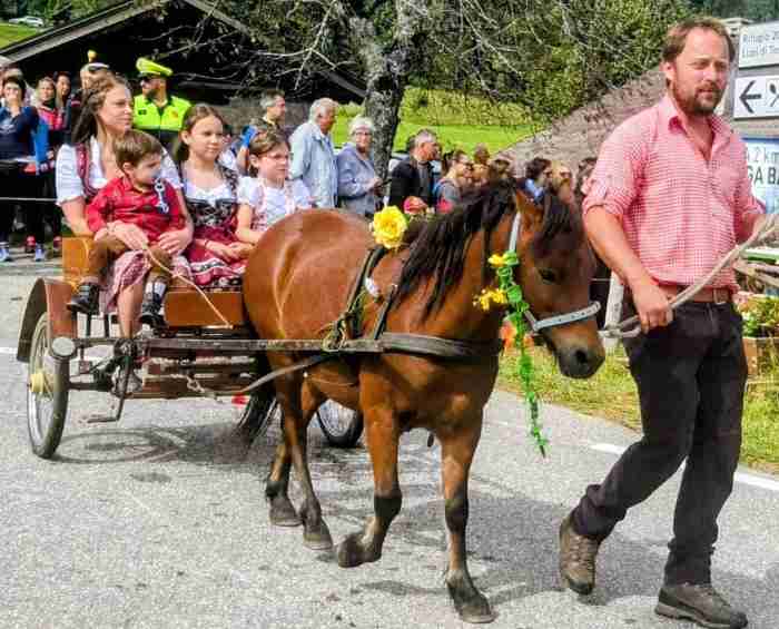 TRENTINO - Desmalgada, sfilata di animali bardati in Valle del Chiese