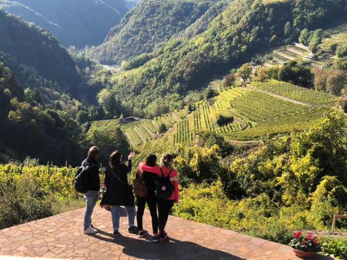 ATTUALITÀ - DiVin Ottobre in Trentino compie 20 anni: gli appuntamenti