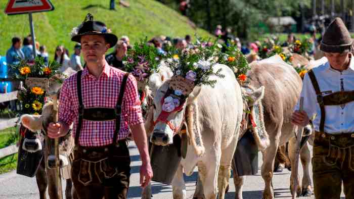 ATTUALITÀ - Latte in Festa in Val di Rabbi