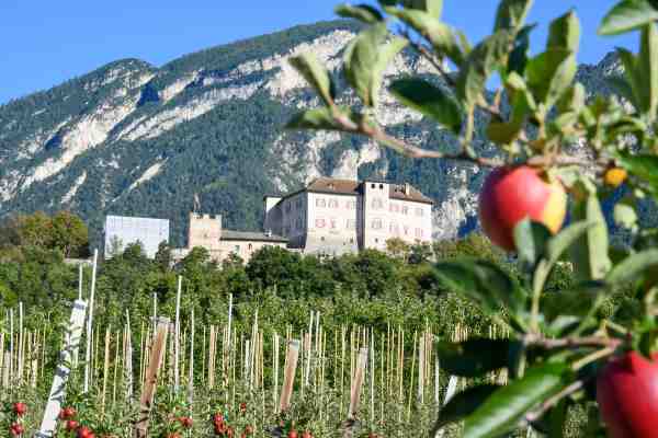 ATTUALITÀ - MelaColgo: in Val di Non e Sole, il programma