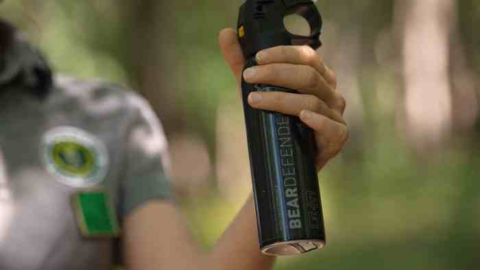 VAL DI SOLE E NON - È legge lo spray anti-orso per Protezione civile e Polizia locale