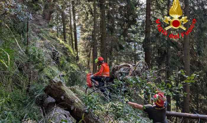 VALLE CAMONICA - Soccorso cercatore di funghi a Cevo