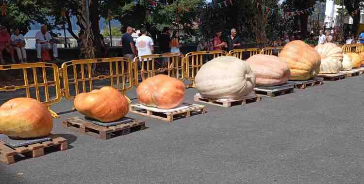 SEBINO - Il camuno Salvagni vince il campionato nazionale della zucca