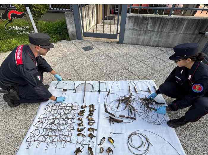 CRONACA - Pezzaze, 29enne arrestato per detenzione di stupefacenti