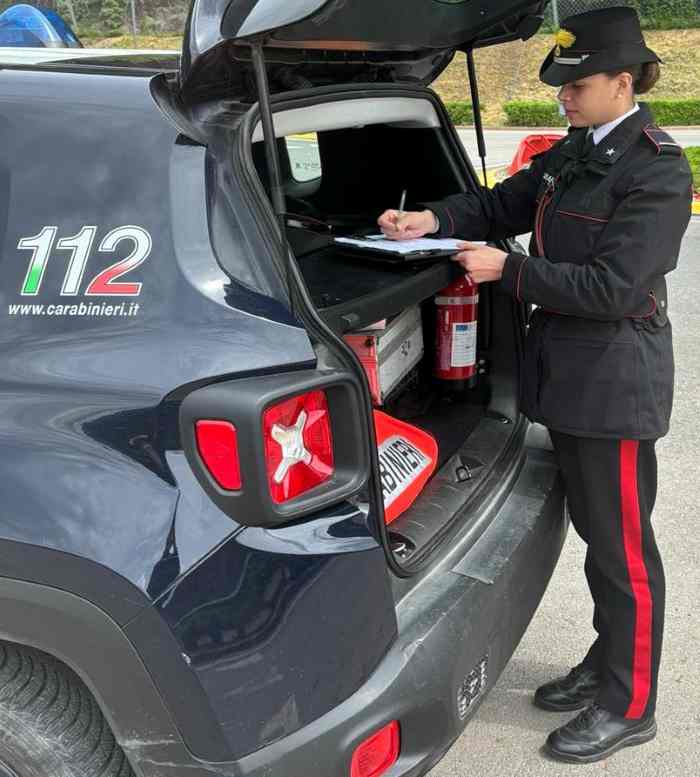 CRONACA - Laives, si allaccia abusivamente alla rete elettrica: denunciata