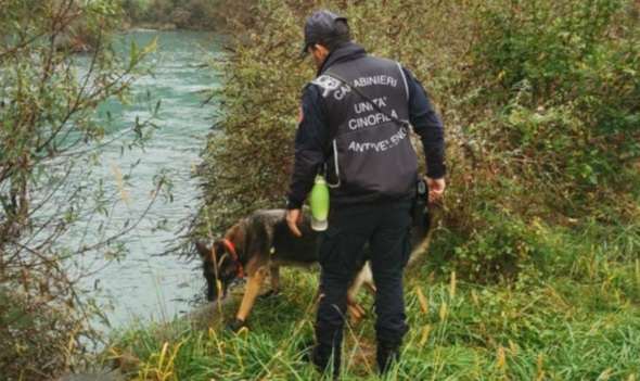 VALTELLINA - I carabinieri forestali denunciano cacciatore valtellinese 