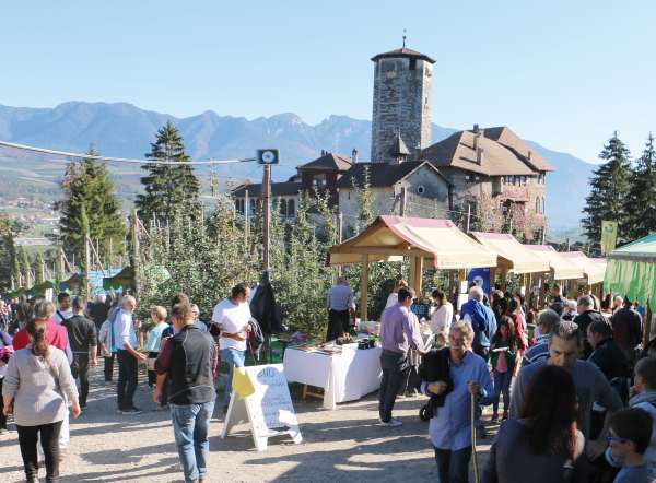 VAL DI SOLE E NON - Torna “Formai dal Mont”: il gusto delle malghe a Tassullo