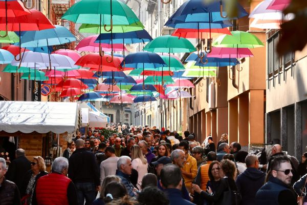 ATTUALITÀ - Mostra del Bitto, grande successo della 118esima edizione