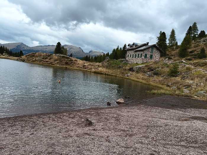 TRENTINO - Nuotatore delle Alpi, tuffo di Clavarino nel lago di Colibricon