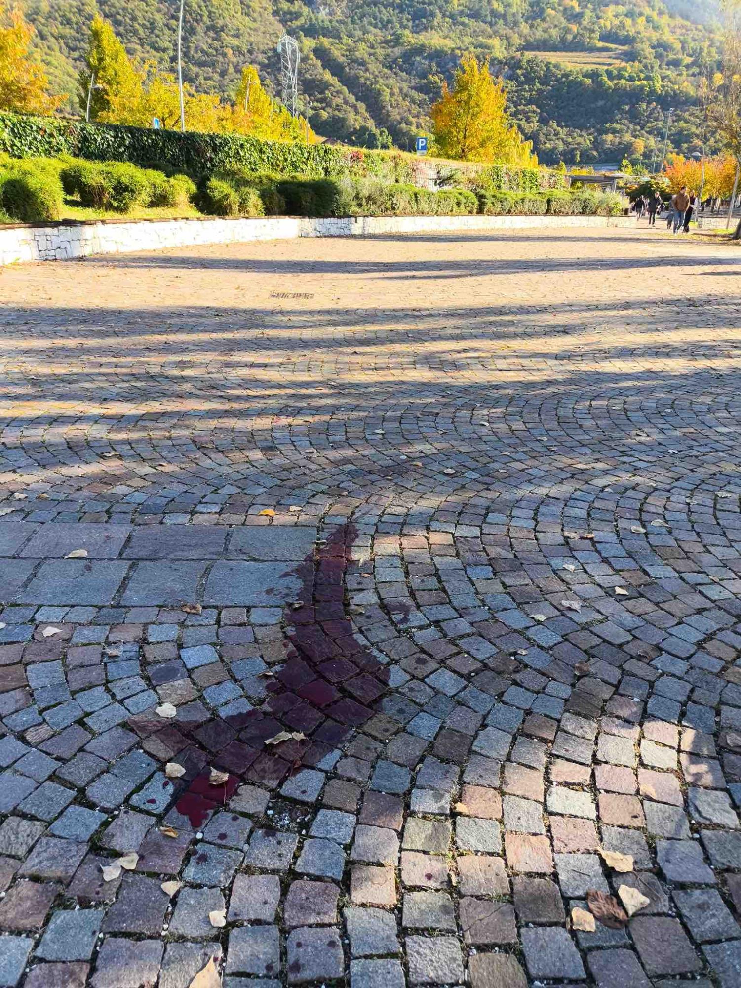 CRONACA - "Arancia meccanica", sabato di violenze a Trento
