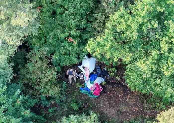 CRONACA - Blitz antidroga nei boschi della Valtellina: un arresto