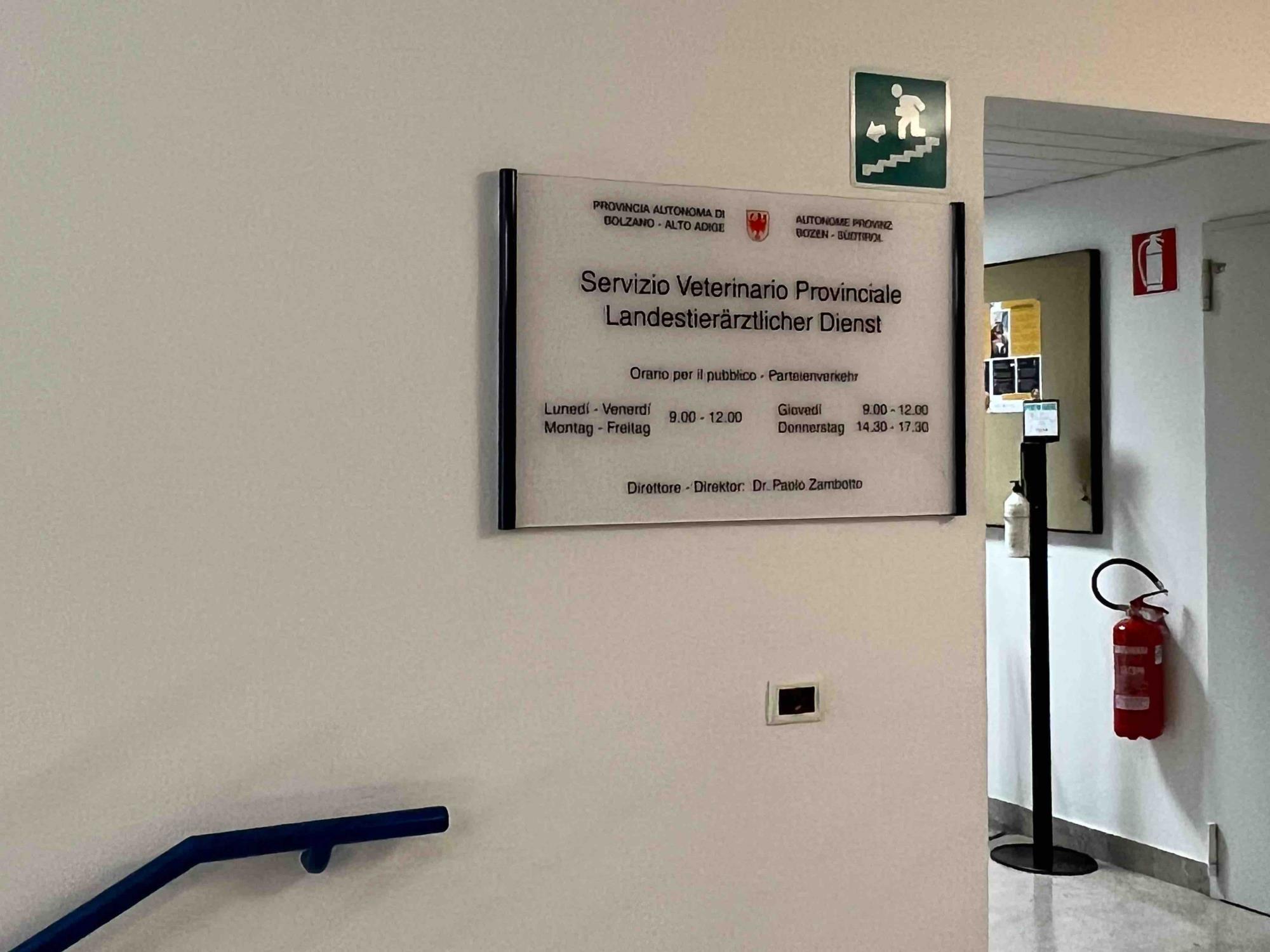ATTUALITÀ - Malattia della lingua blu: casi positivi in Alto Adige